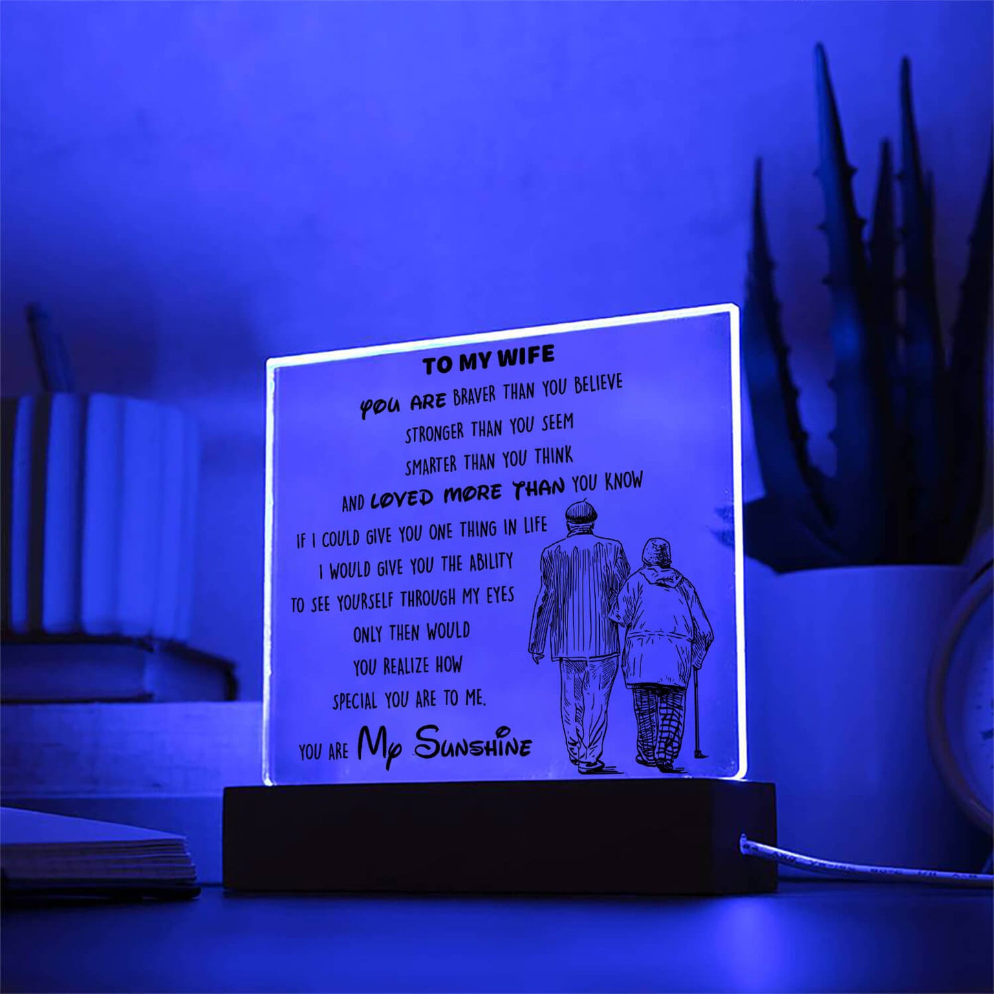 To My Wife - You Are My Sunshine - D346 - LED Acrylic Plaque