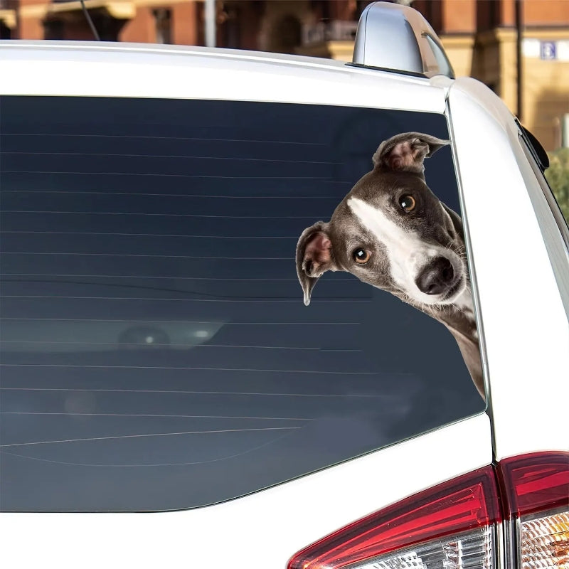 Italian Greyhound Dog - Peekaboo Dog Head Car Sticker - DS005