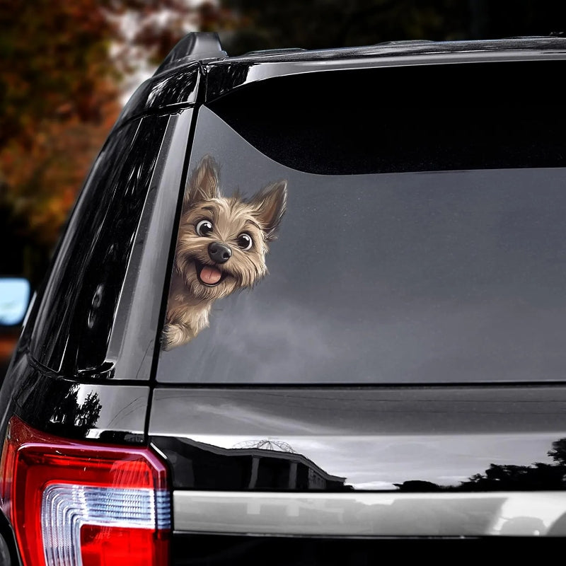 Cairn Terrier Dog - Peekaboo Dog Head Car Sticker - DS004