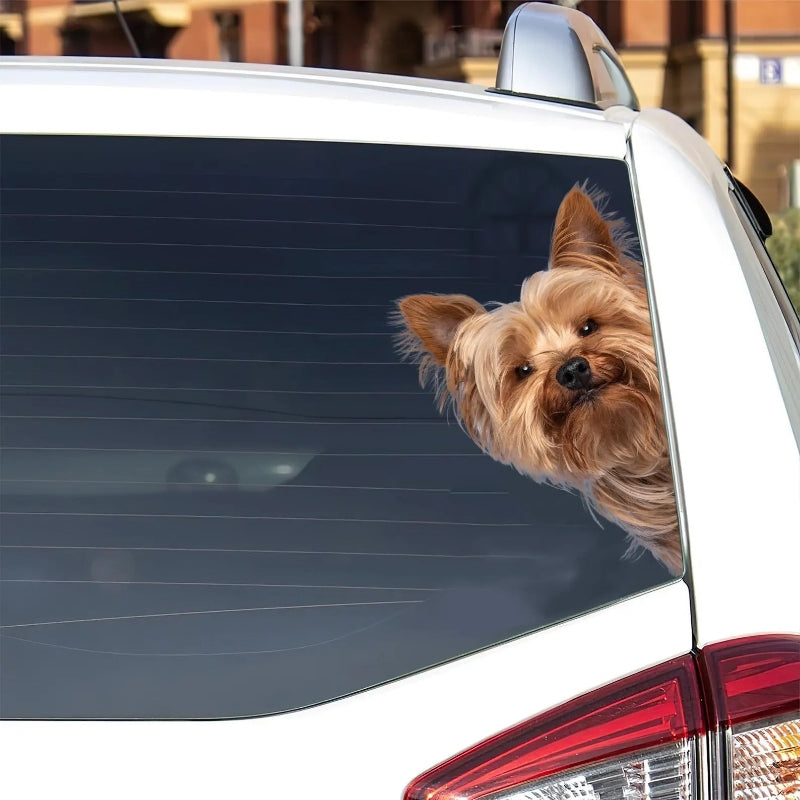 Yorkshire Terrier Dog - Peekaboo Dog Head Car Sticker - DS006
