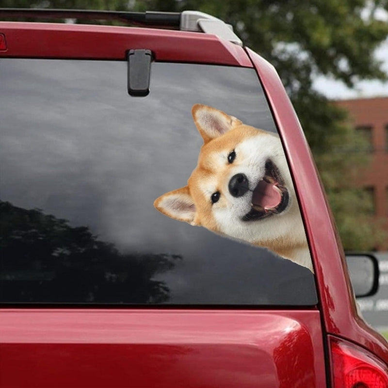 Shiba Inu Dog - Peekaboo Dog Head Car Sticker - DS008