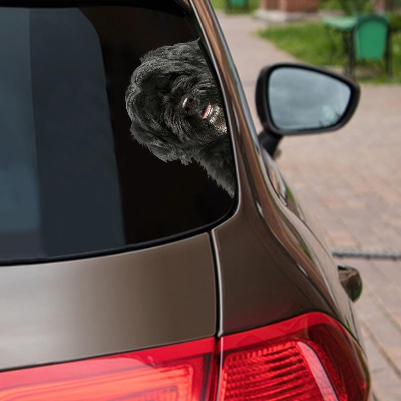 Portuguese Water Dog - Peekaboo Dog Head Car Sticker - DS010