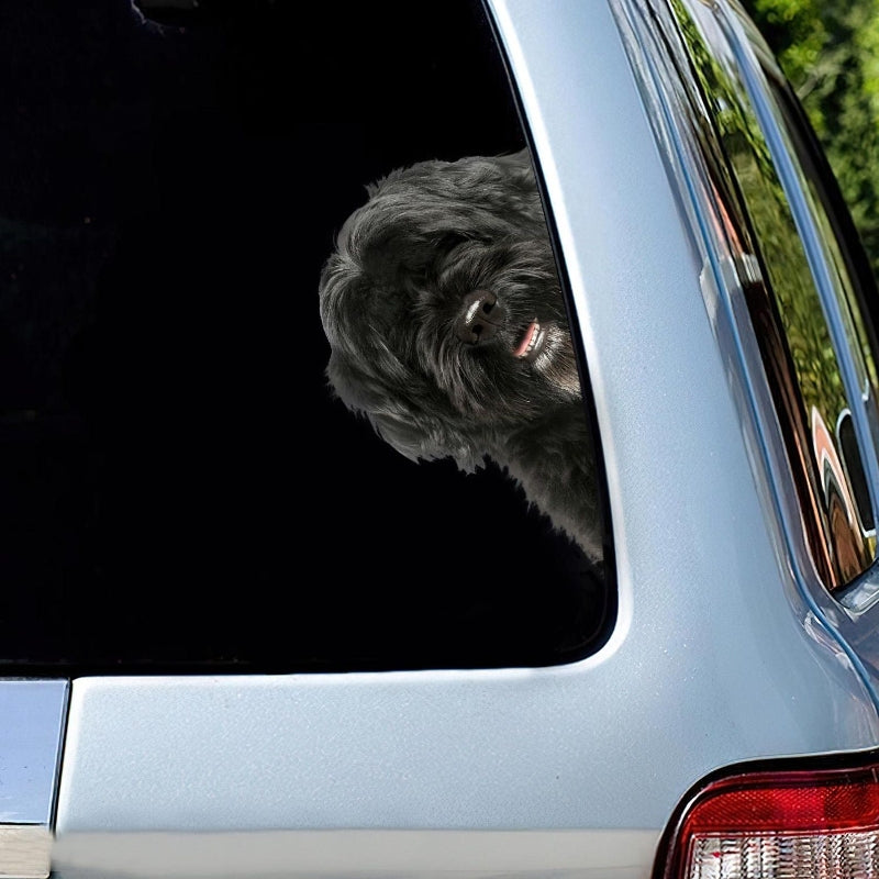 Portuguese Water Dog - Peekaboo Dog Head Car Sticker - DS010