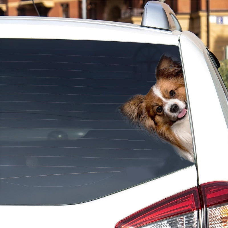 Papillon Dog - Peekaboo Dog Head Car Sticker - DS012