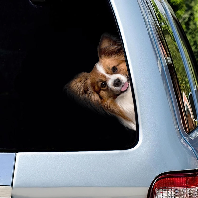 Papillon Dog - Peekaboo Dog Head Car Sticker - DS012