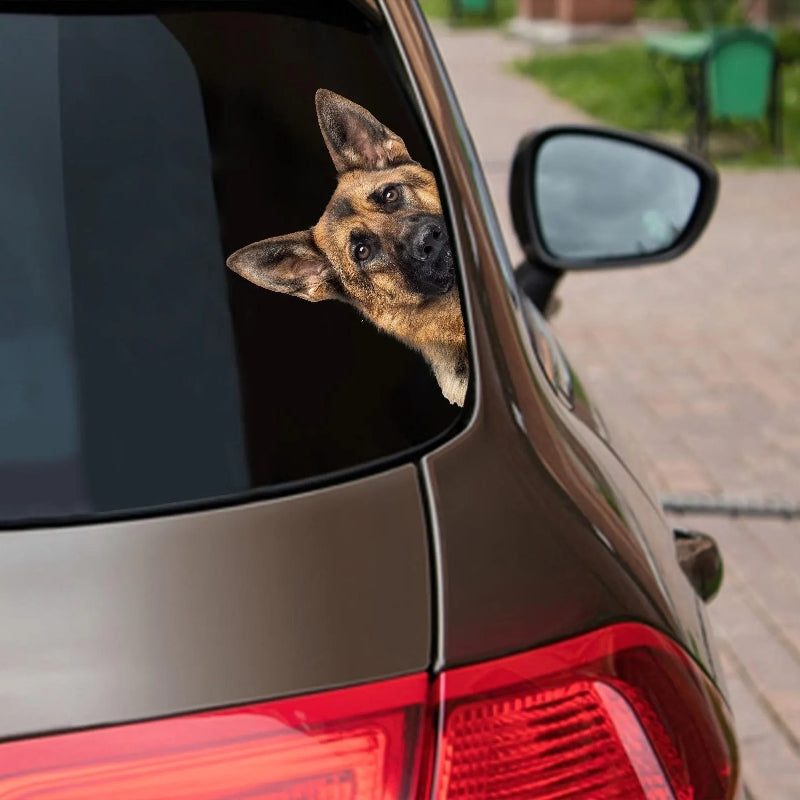 German Shepherd Dog - Peekaboo Dog Head Car Sticker - DS014