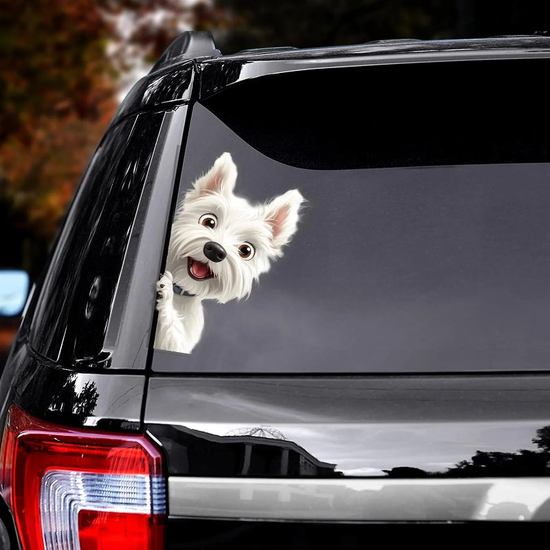 West Highland White Terrier Dog - Peekaboo Dog Head Car Sticker - DS028