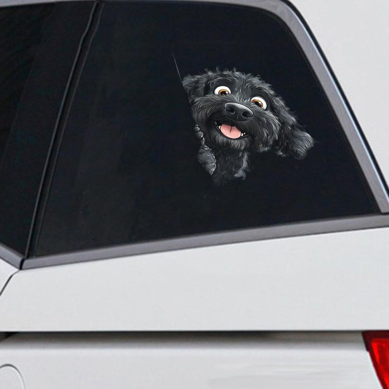 Portuguese Water Dog - Peekaboo Dog Head Car Sticker - DS034