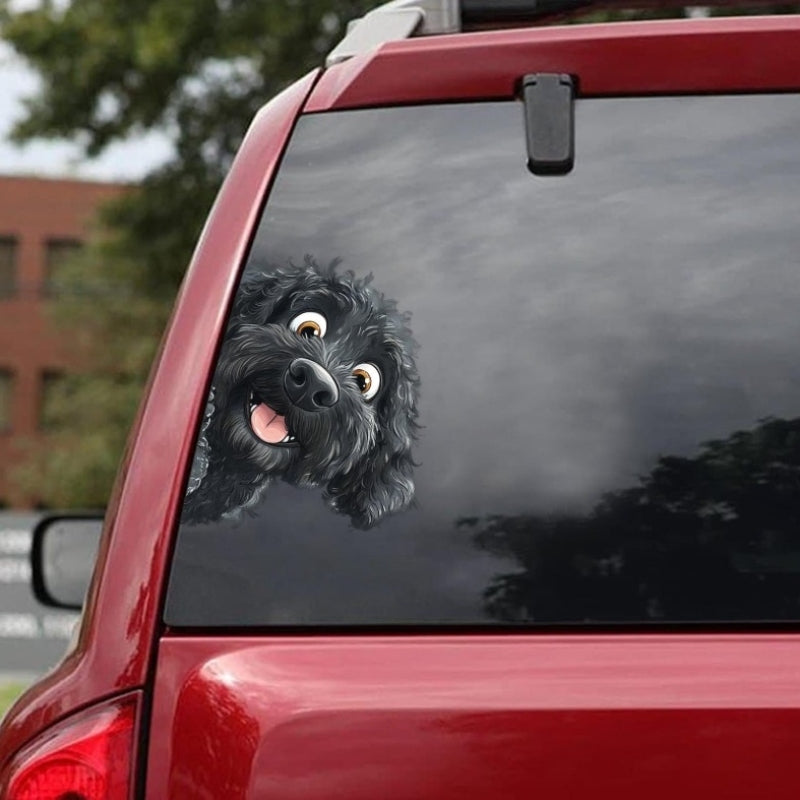 Portuguese Water Dog - Peekaboo Dog Head Car Sticker - DS034