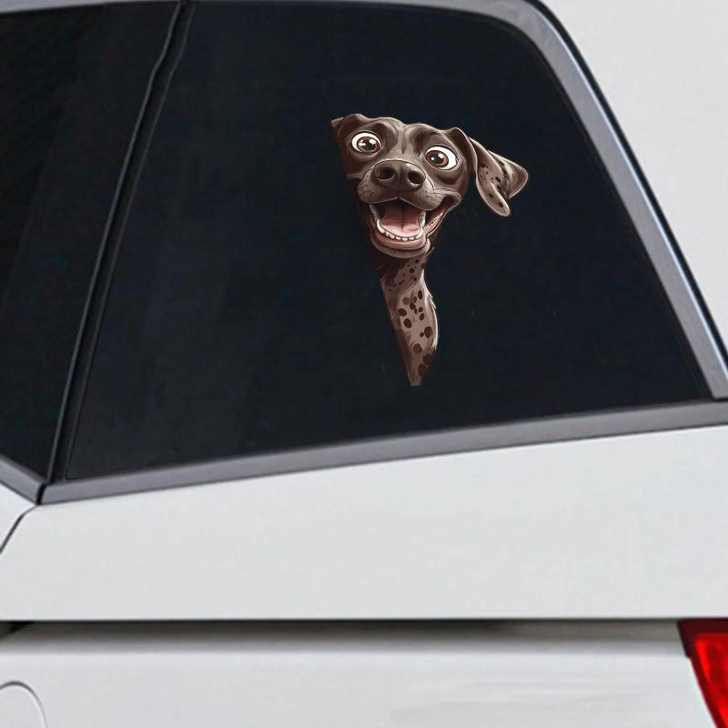 German Shorthaired Pointer Dog - Peekaboo Dog Head Car Sticker - DS042