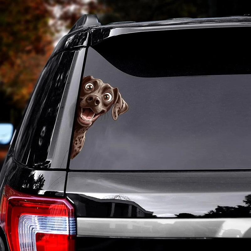 German Shorthaired Pointer Dog - Peekaboo Dog Head Car Sticker - DS042