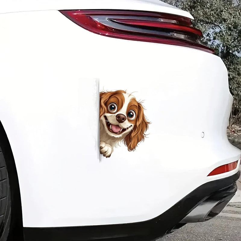 Cavalier King Charles Spaniel Dog - Peekaboo Dog Head Car Sticker - DS045