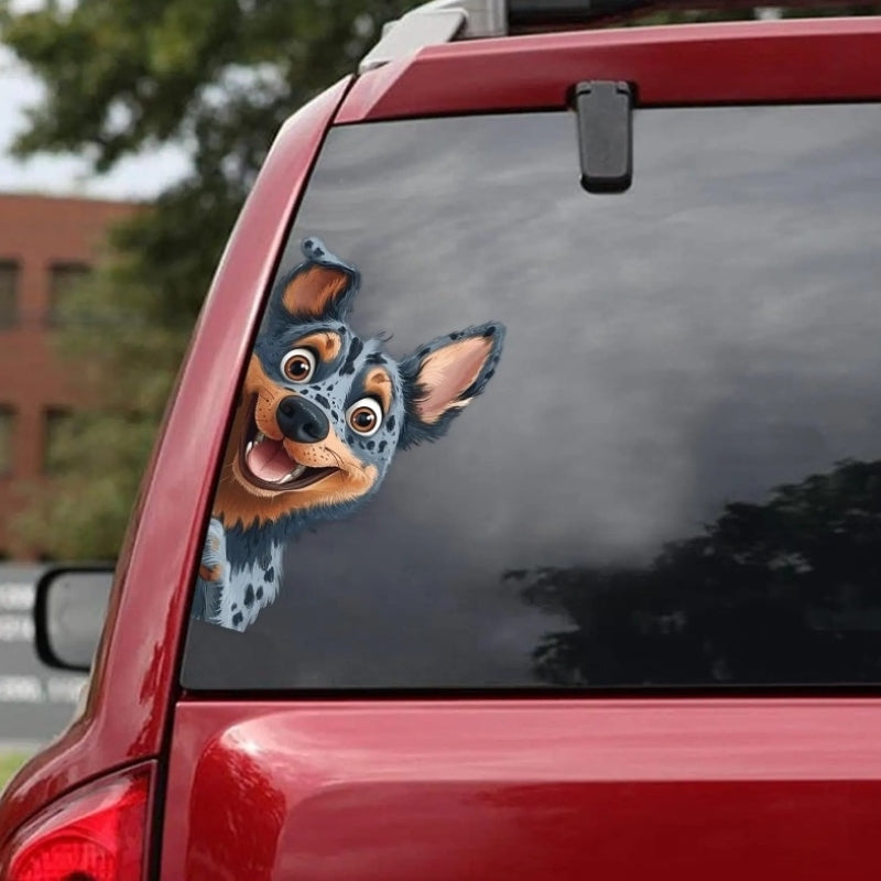 Australian Cattle Dog - Peekaboo Dog Head Car Sticker - DS050