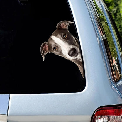 Italian Greyhound Dog - Peekaboo Dog Head Car Sticker - DS005