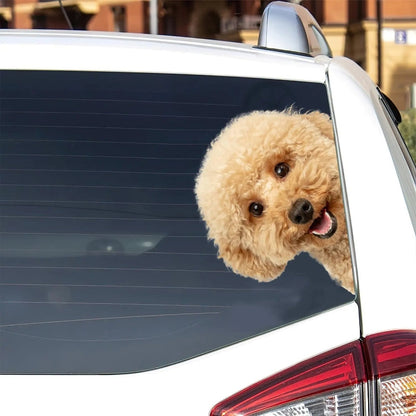 Maltipoo Dog - Peekaboo Dog Head Car Sticker - DS013