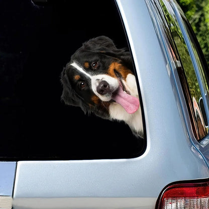 Bernese Mountain Dog - Peekaboo Dog Head Car Sticker - DS021