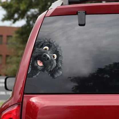 Portuguese Water Dog - Peekaboo Dog Head Car Sticker - DS034
