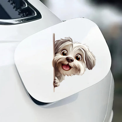 Havanese Dog - Peekaboo Dog Head Car Sticker - DS037