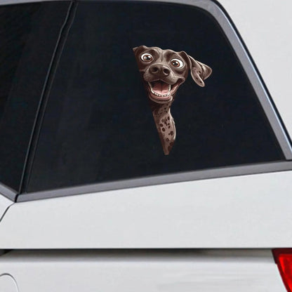 German Shorthaired Pointer Dog - Peekaboo Dog Head Car Sticker - DS042