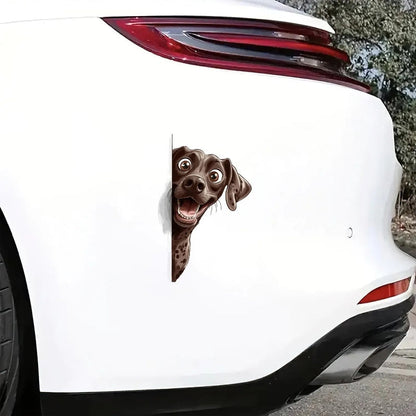 German Shorthaired Pointer Dog - Peekaboo Dog Head Car Sticker - DS042