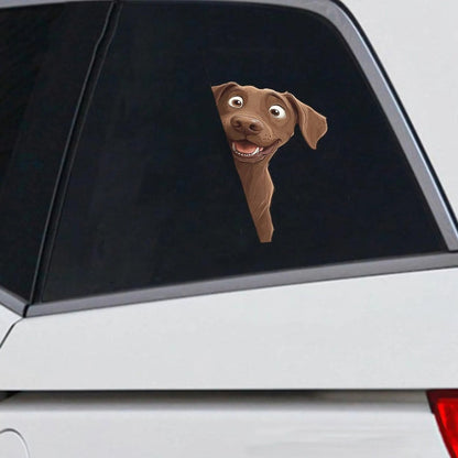 Chesapeake Bay Retriever Dog - Peekaboo Dog Head Car Sticker - DS044
