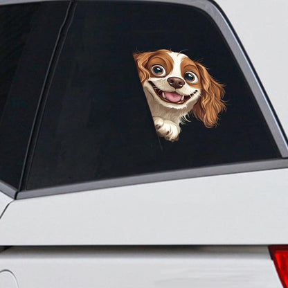 Cavalier King Charles Spaniel Dog - Peekaboo Dog Head Car Sticker - DS045