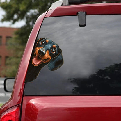 Dachshund Dog - Peekaboo Dog Head Car Sticker - DS057