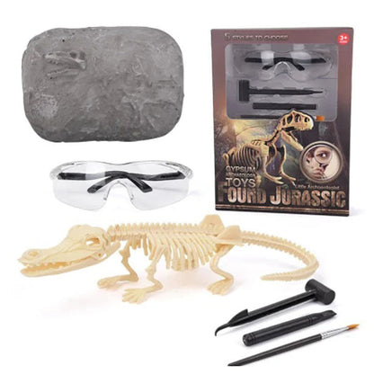 Dinosaur Fossil Digging Kit