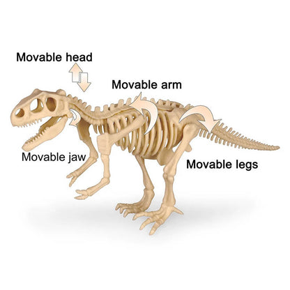 Dinosaur Fossil Digging Kit